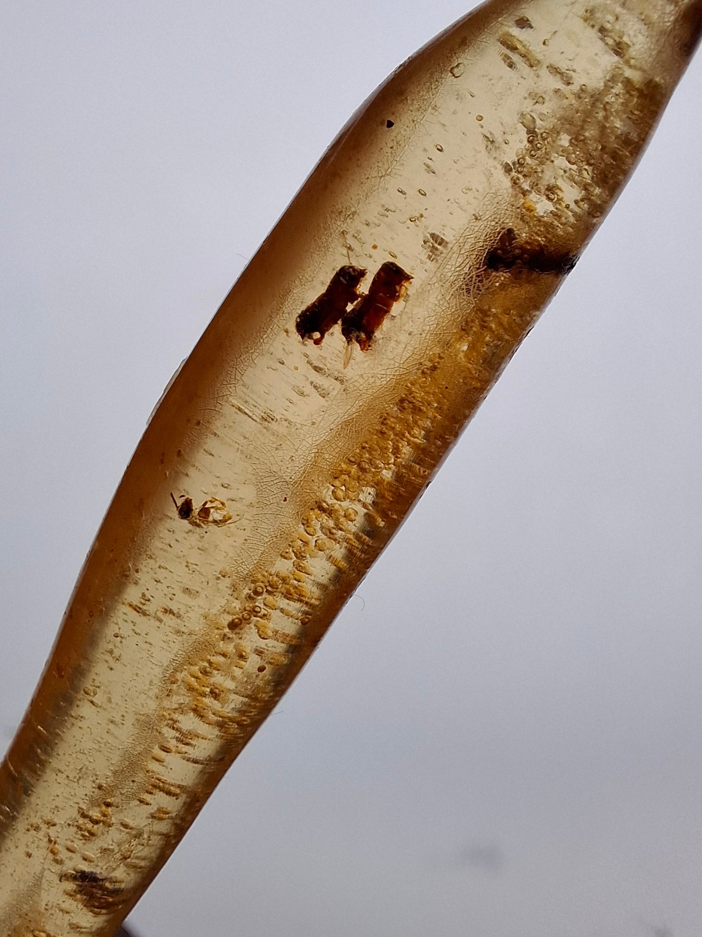 Copal Young Amber with INSECTS inside, 5.46g, Fossil (Ref: CA36)