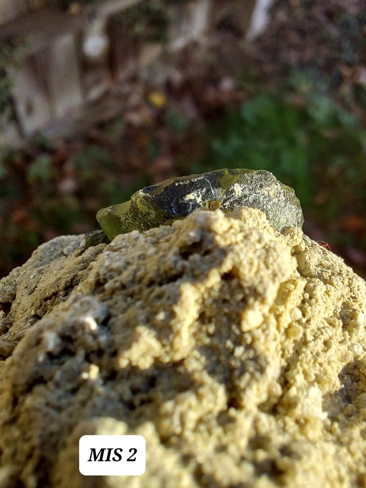Moldavite In-Situ (in matrix), Besednice, Est 3.5-4g, Tektite (Ref: MIS2)