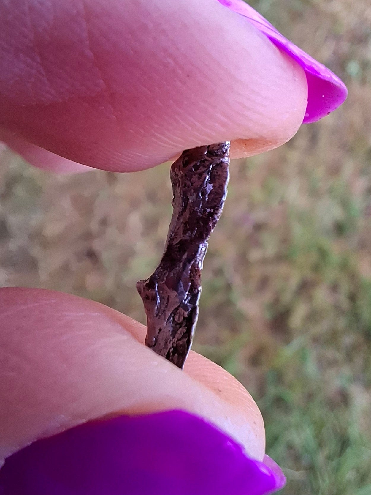Campo del Cielo, 0.99g, Nickel Iron Meteorite (Ref: C8)