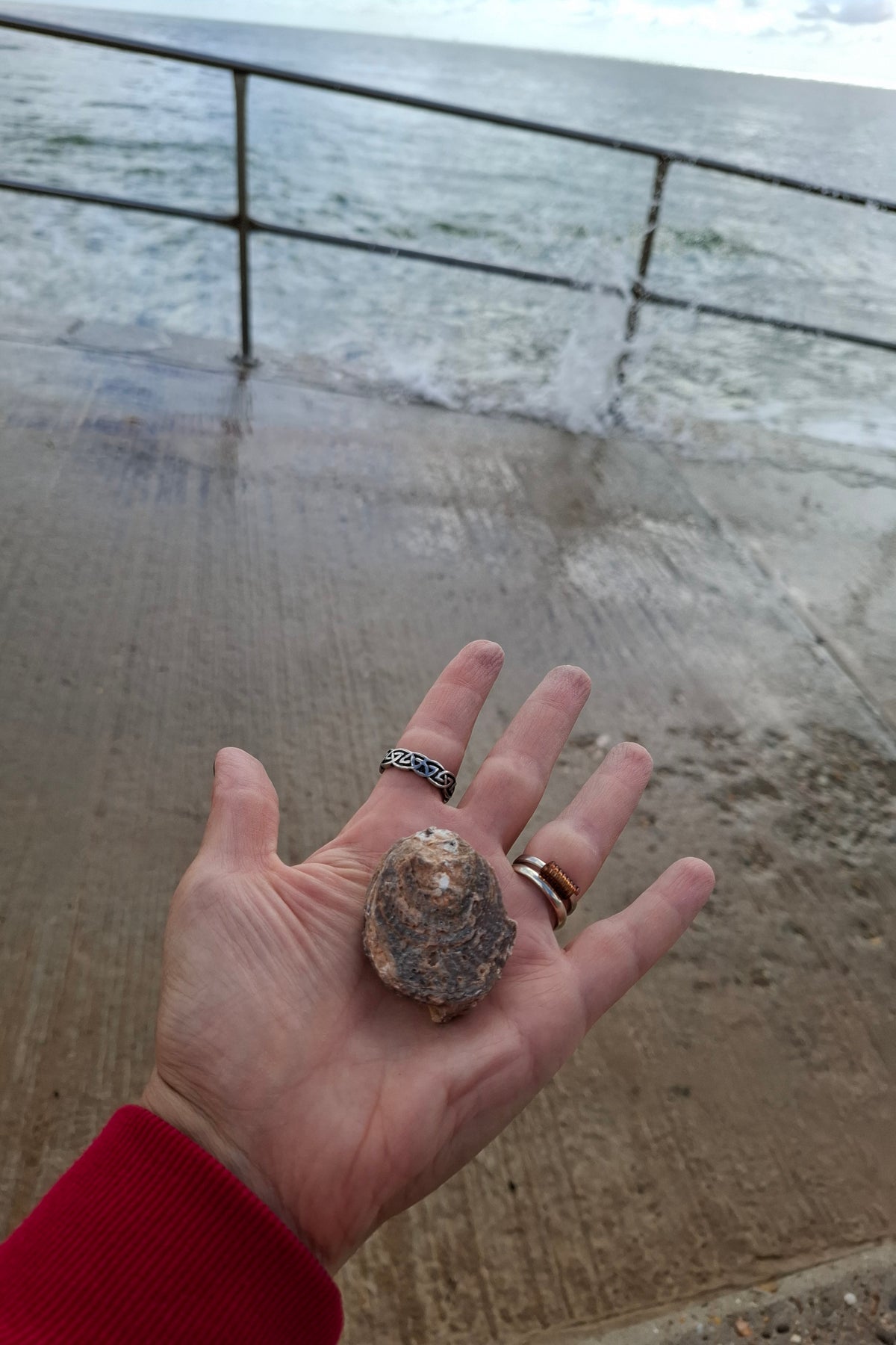 Chalcedony Oyster, Fossil (Ref: FO3)