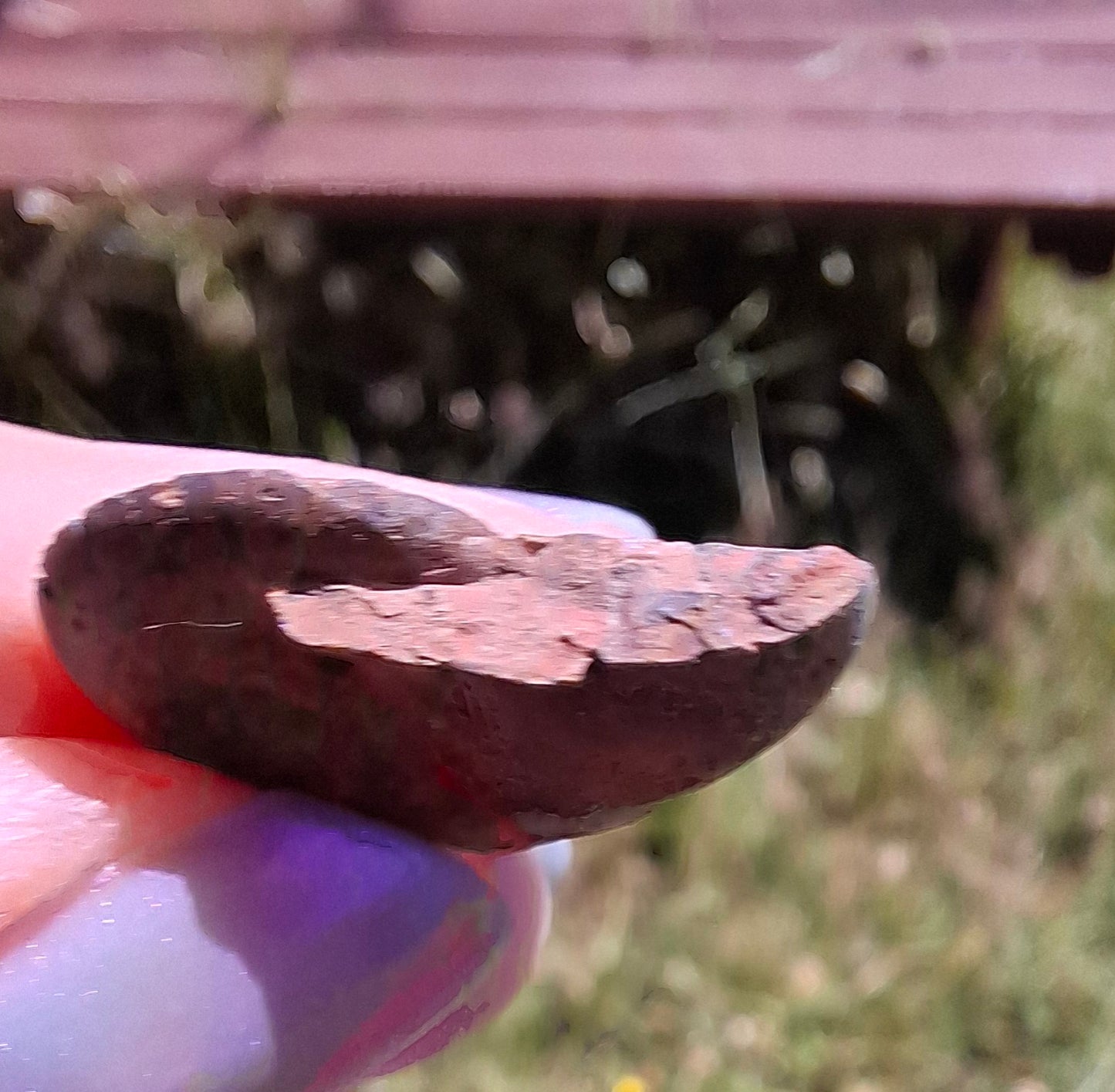 Small Haematite Ammonite HALF, 1.32g, Fossil (Ref: MA5)