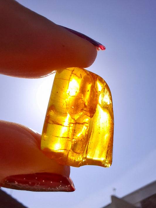 Baltic Amber, 2.08g, Fossil (Ref: A230)