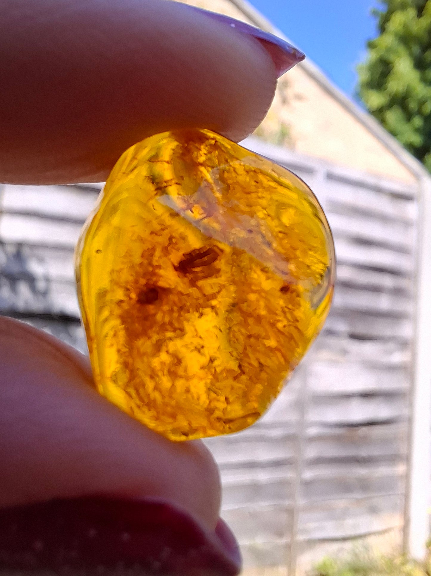 Baltic Amber, 1.12g, Fossil (Ref: A111)