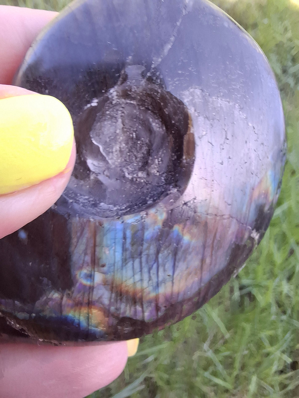 Labradorite Ammonite Carving, 89.31g, Crystal (Ref: laba6)