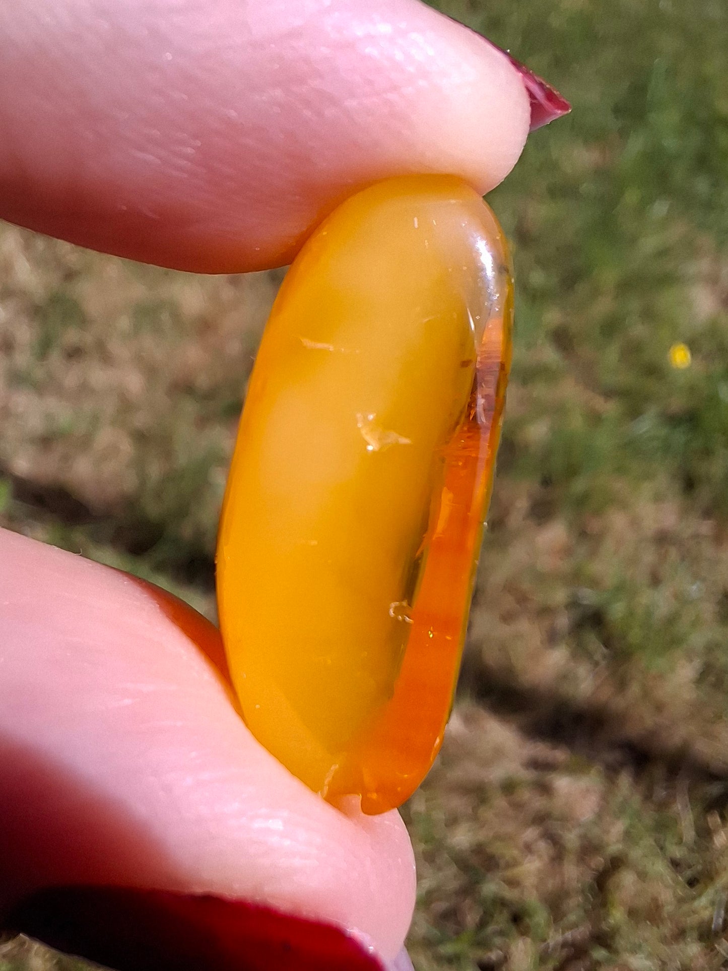 Baltic Amber, 1.74g, Fossil (Ref: A228)