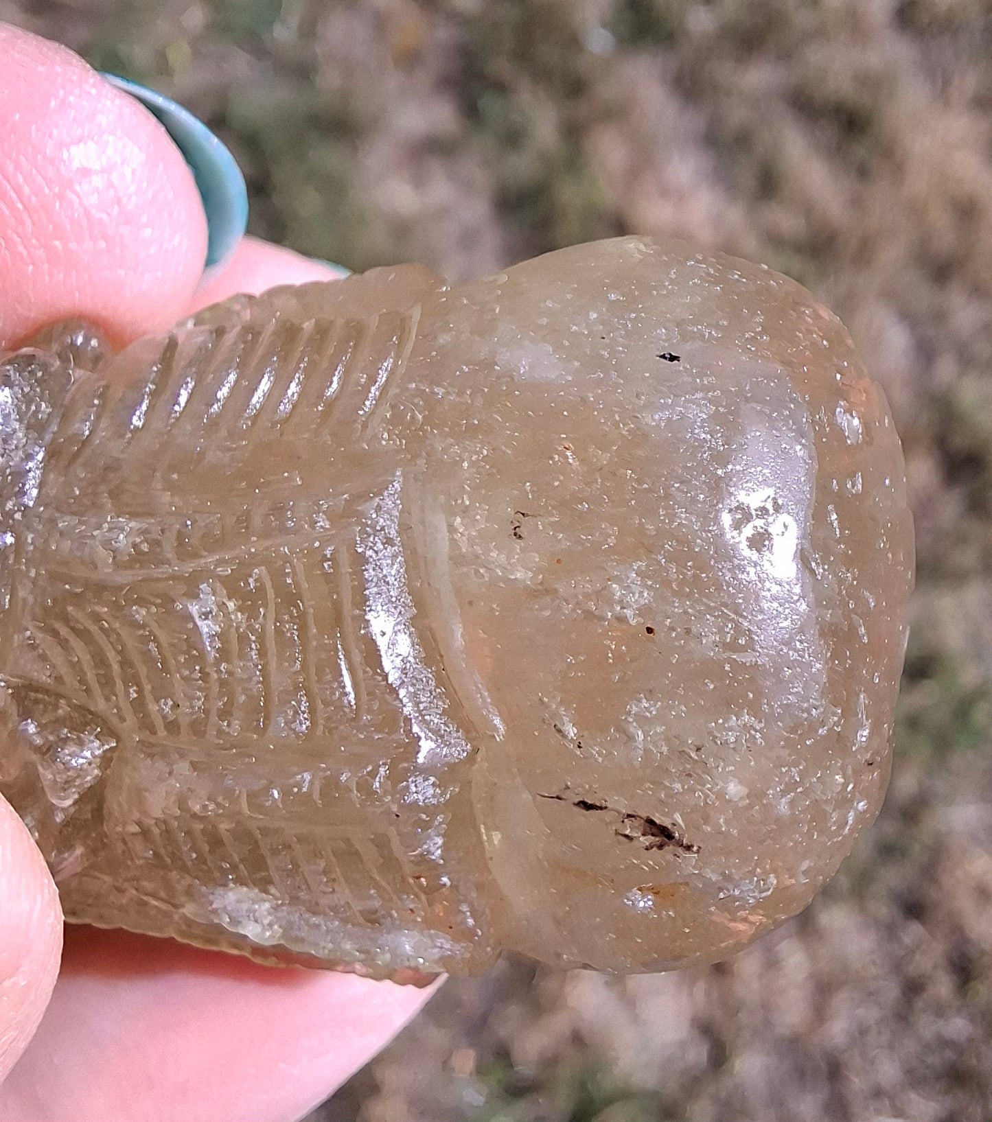 Libyan Desert Glass DRAGON HEAD carving, 48.11g, Tektite (Ref: Dragon4)