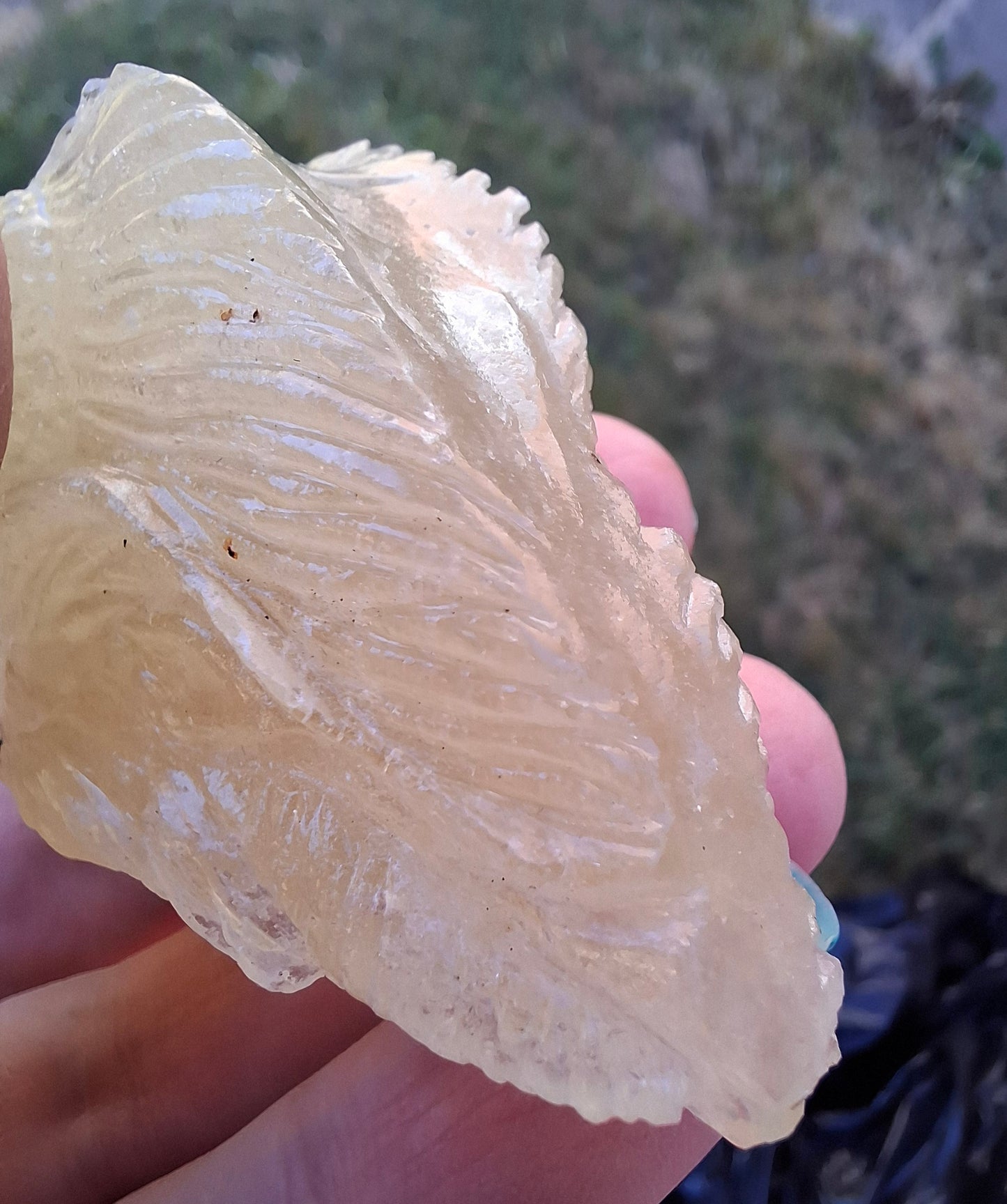 Libyan Desert Glass DRAGON HEAD Carving, 75.84g, Tektite (Ref: Dragon1)