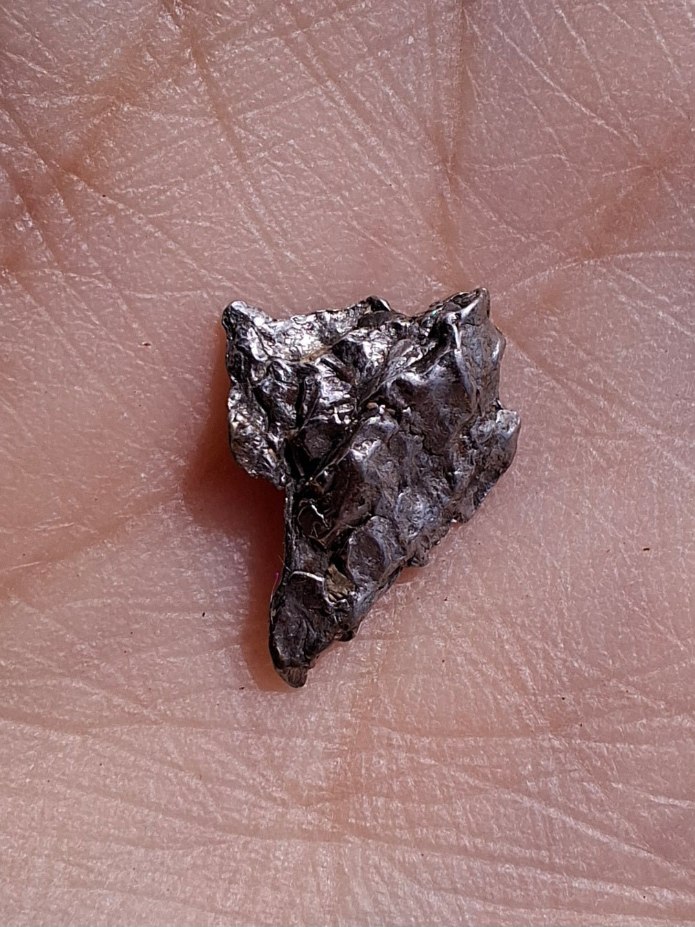 Campo del Cielo, 0.37g, Nickel Iron Meteorite (Ref: C13)