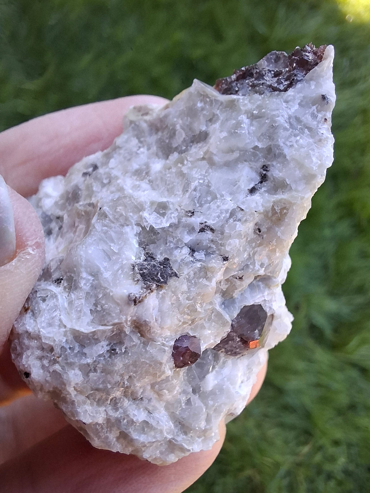 (Dig your own) Garnet in Matrix, Crystal (Ref: RG2)