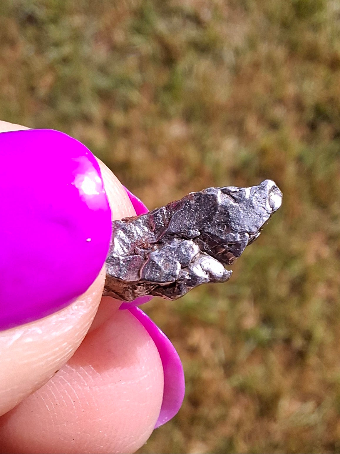 Campo del Cielo, 0.99g, Nickel Iron Meteorite (Ref: C8)