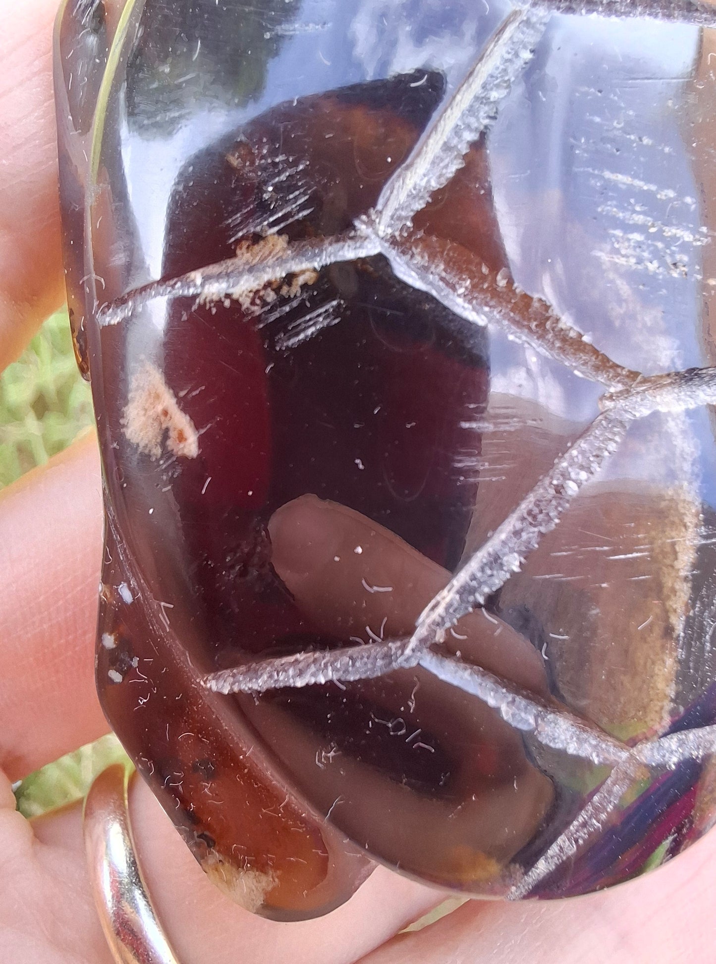 Red Amber Turtle, 52.00g, Carving, Fossil (Ref: TT3)