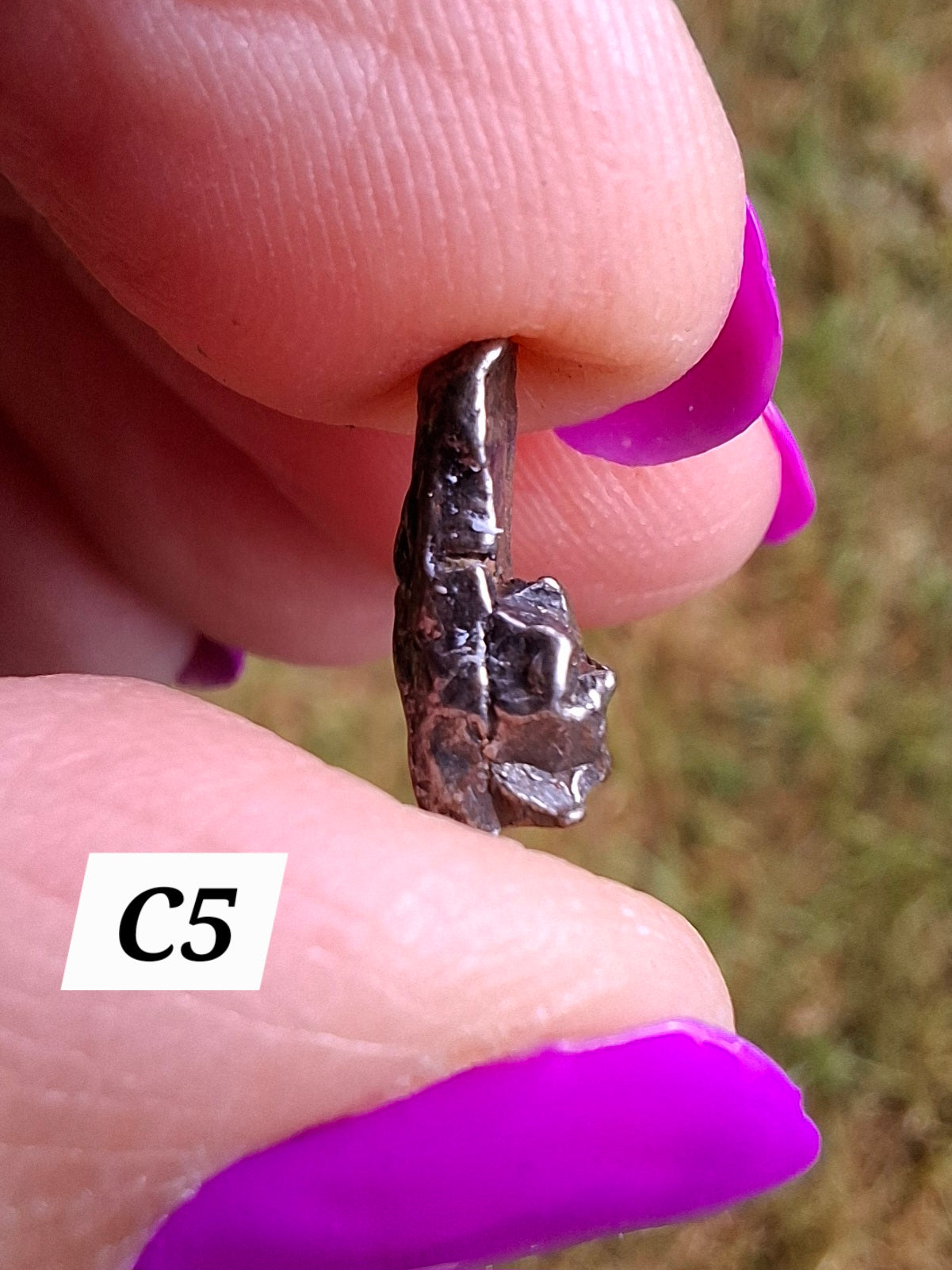 Campo del Cielo, 0.99g, Nickel Iron Meteorite (Ref: C5)