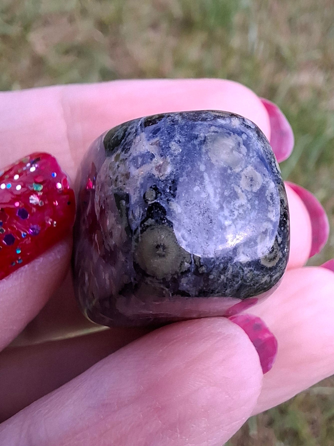 Kambaba Jasper, Tumble Stone, Crystal (Ref: T164)