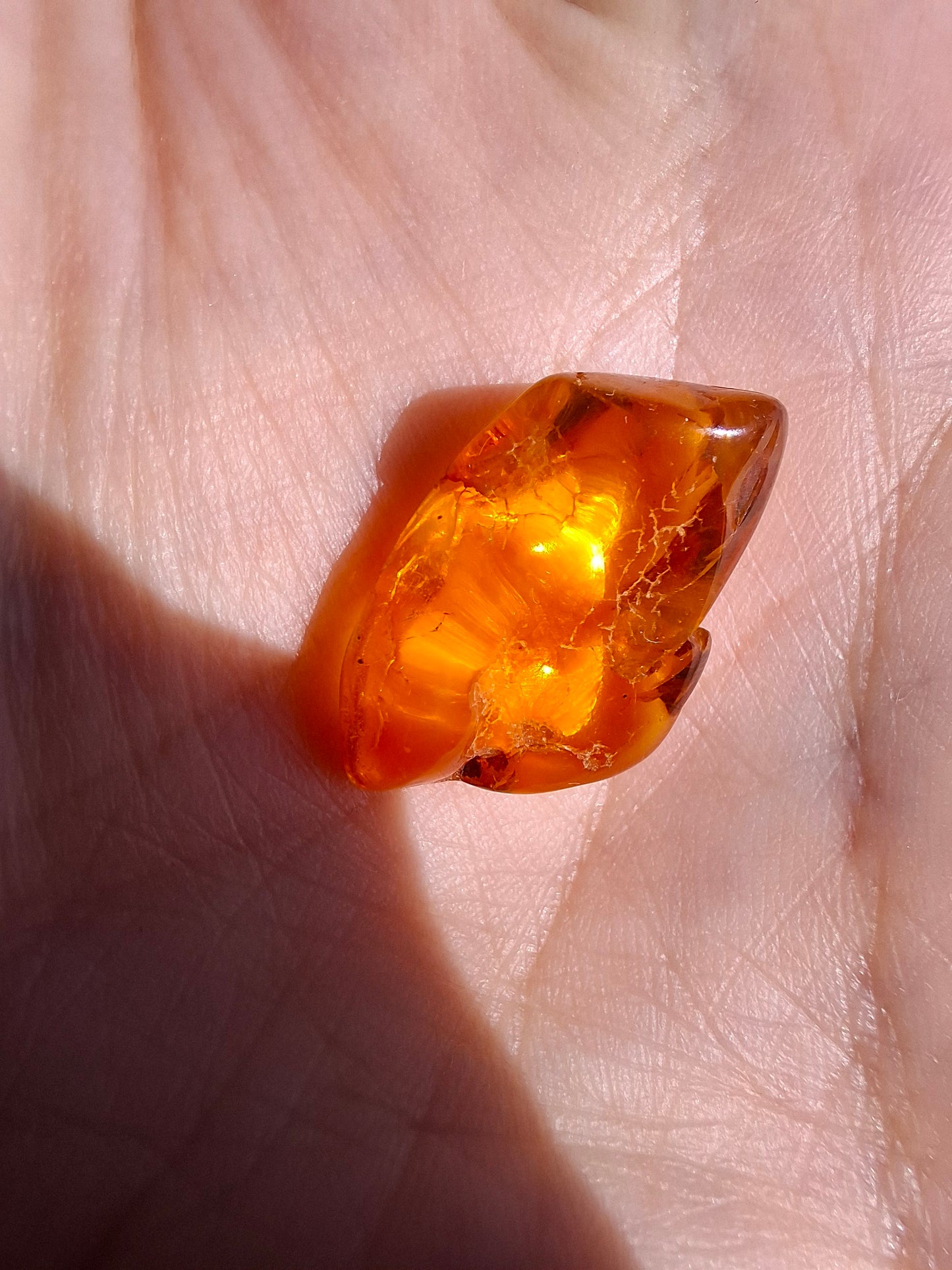 Baltic Amber, 1.31g, Fossil (Ref: A234)