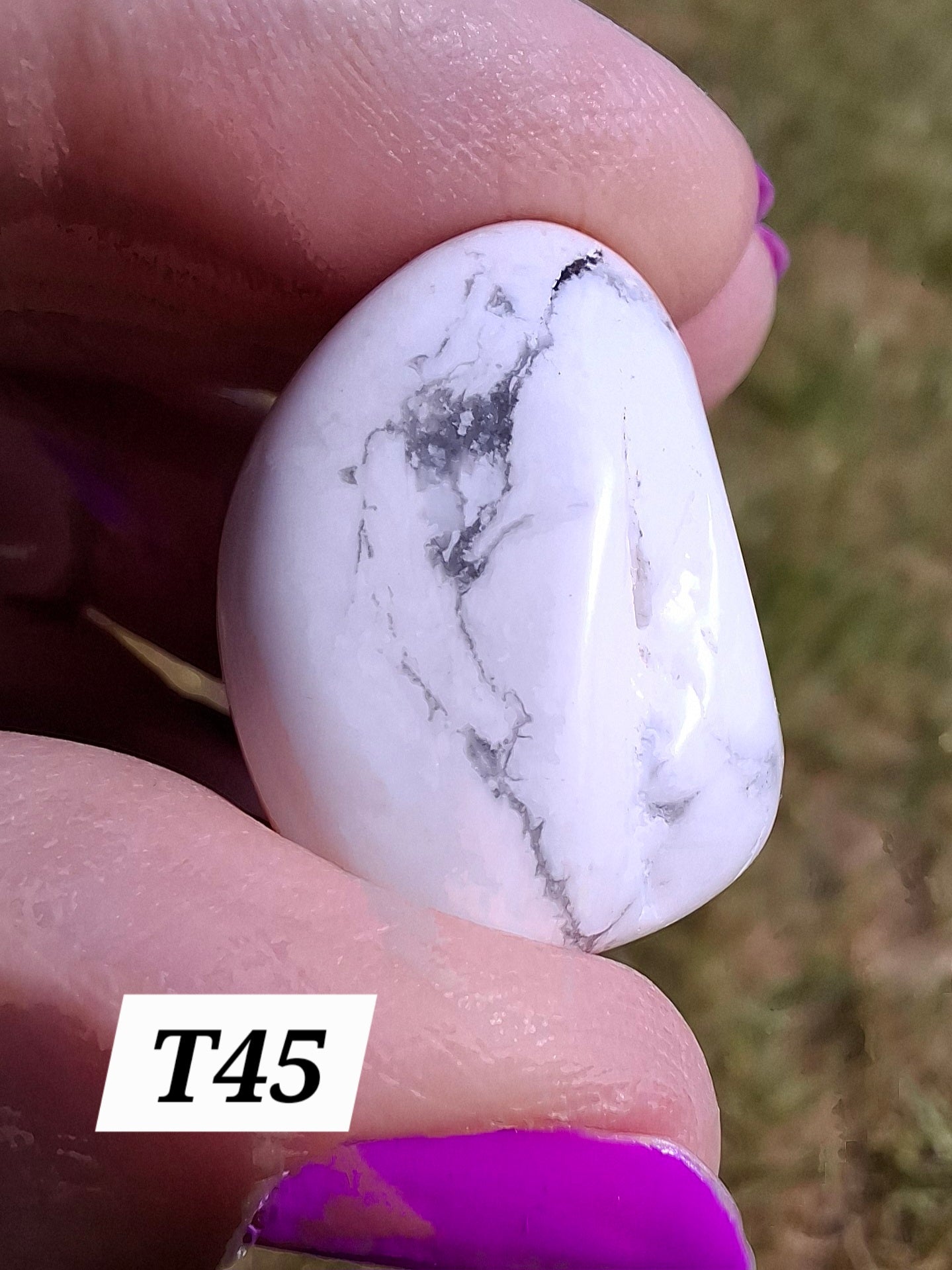 Howlite, Tumble Stone, Crystal (Ref: T45)