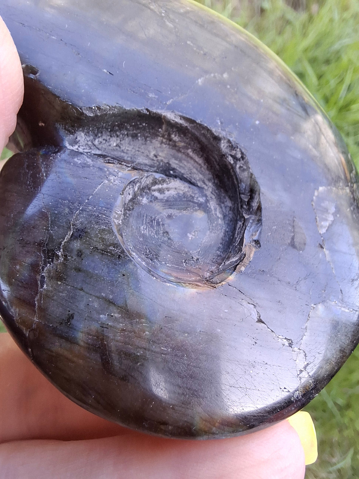 Labradorite Ammonite Carving, 153.97g, Crystal (Ref: laba2)