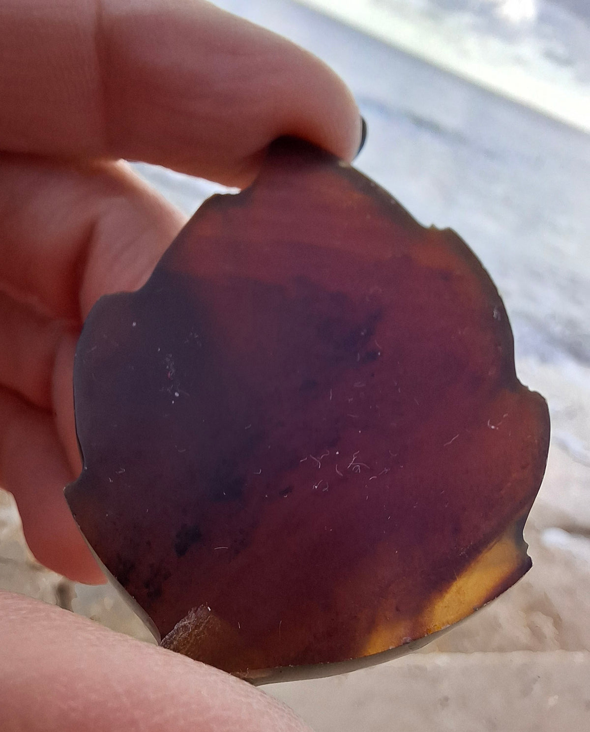 Red Amber Leaf Carving, 8.35g, Fossil (Ref: Leaf2)