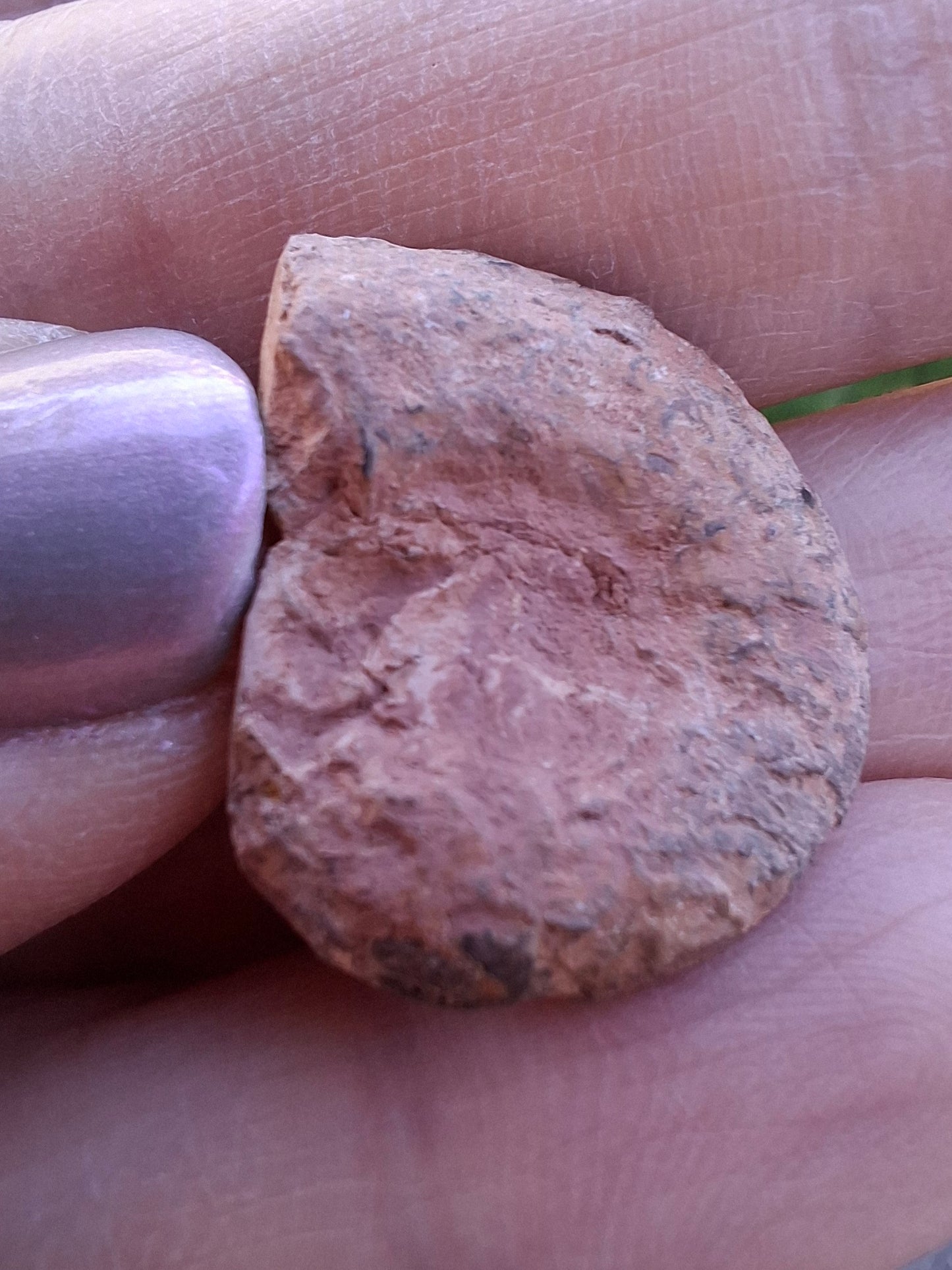 Small Haematite Ammonite HALF, 1.66g, Fossil (Ref: MA2)