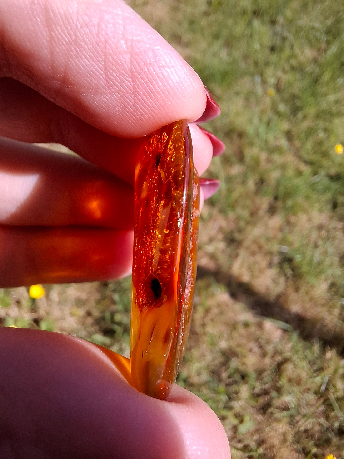 Baltic Amber, 4.50g, Fossil (Ref: A151)