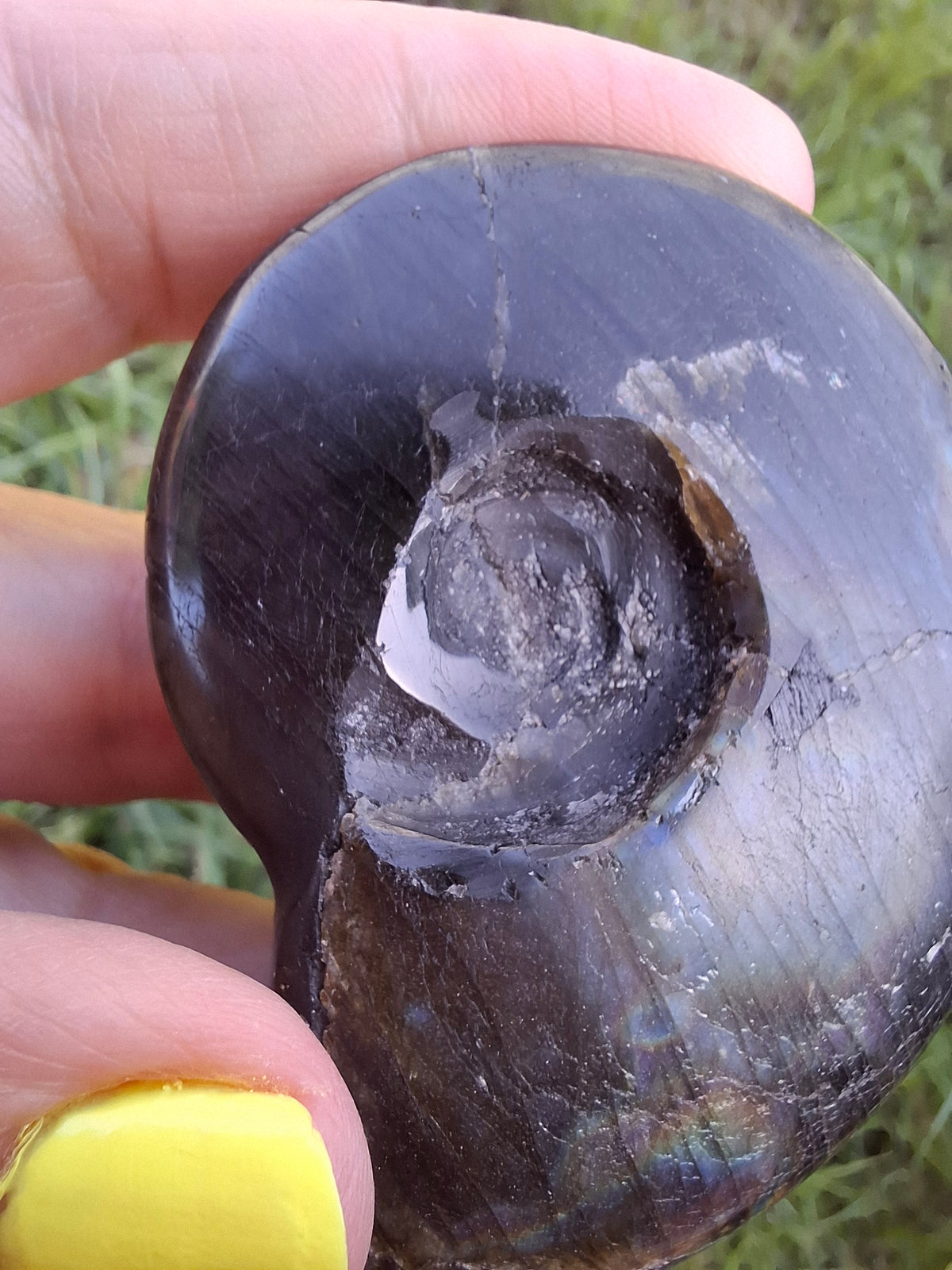 Labradorite Ammonite Carving, 89.31g, Crystal (Ref: laba6)