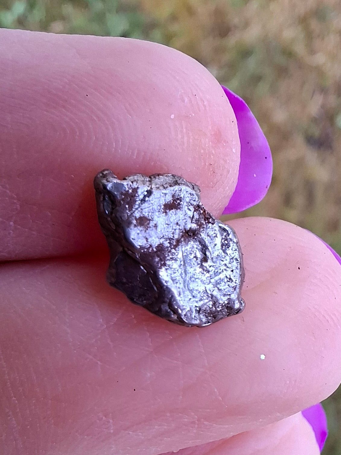 Campo del Cielo, 0.96g, Nickel Iron Meteorite (Ref: C7)