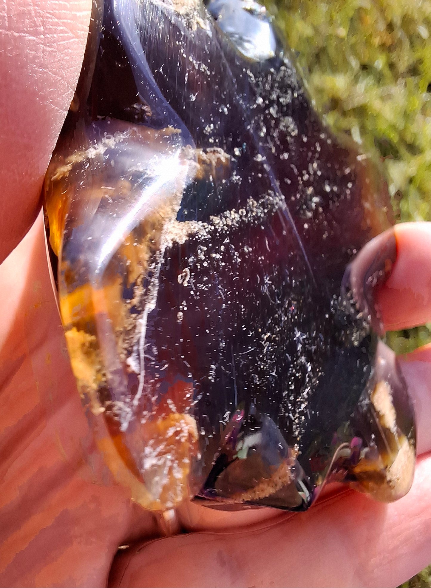 Red Amber Turtle, 56.87g, Carving, Fossil (Ref: TT2)