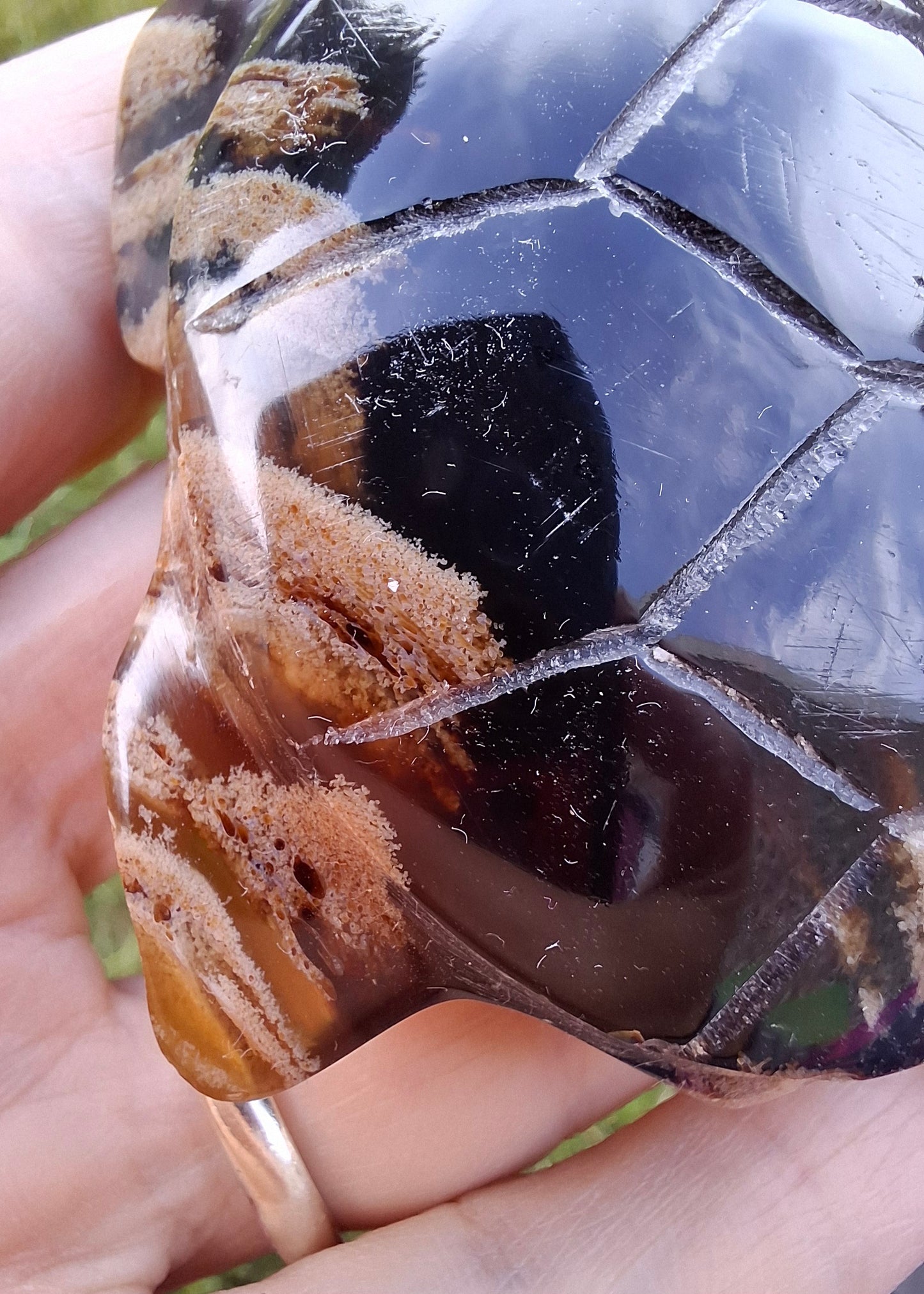 Red Amber Turtle, 59.07g, Carving, Fossil (Ref: TT5)