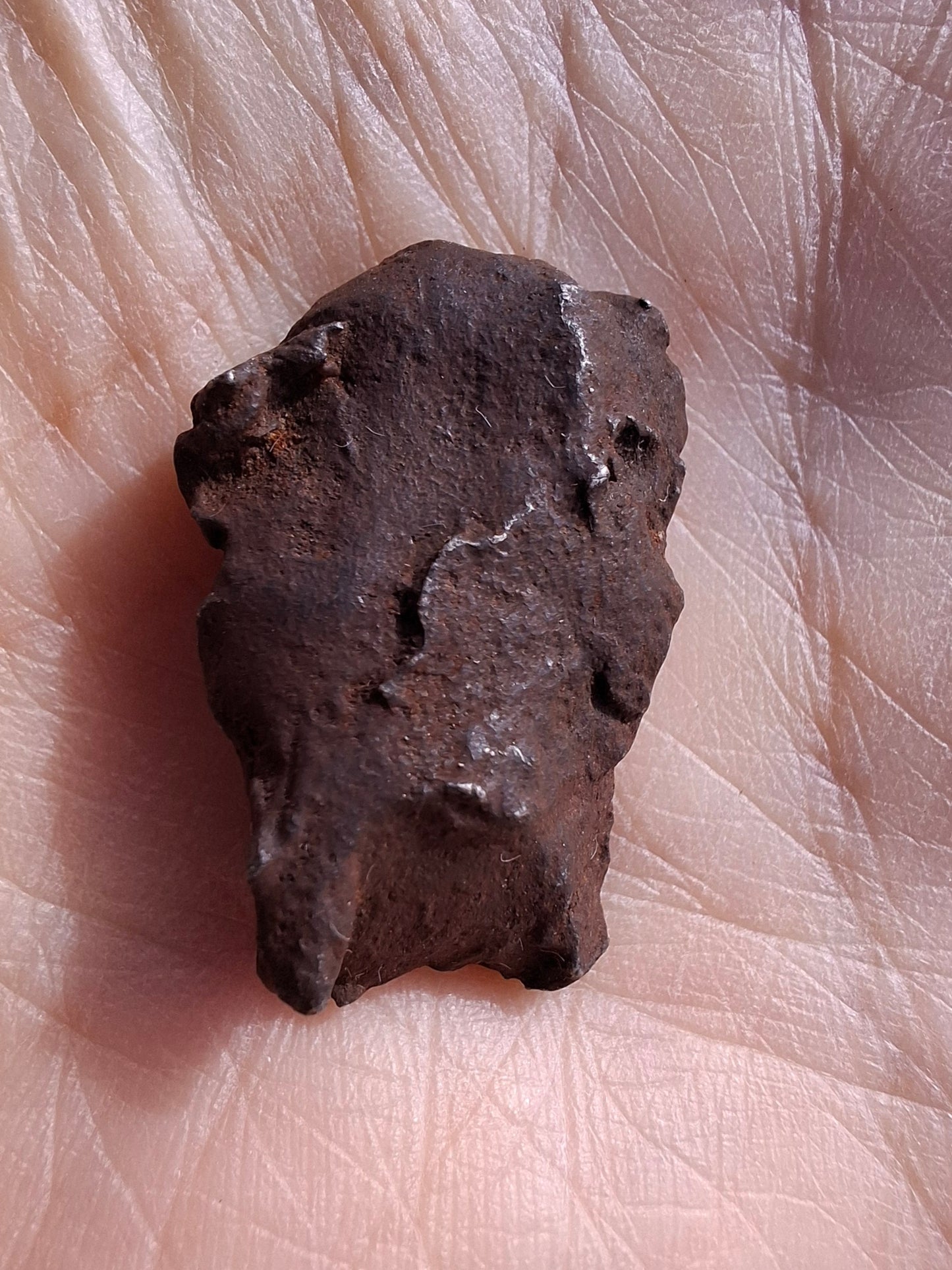 Gebel Kamil Iron Meteorite, 12.80g (Ref: K33)