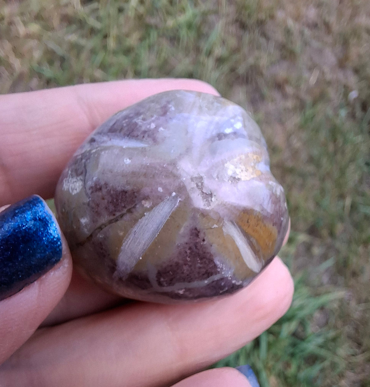 Polished Sea Urchin, Fossil (Ref: SU6)
