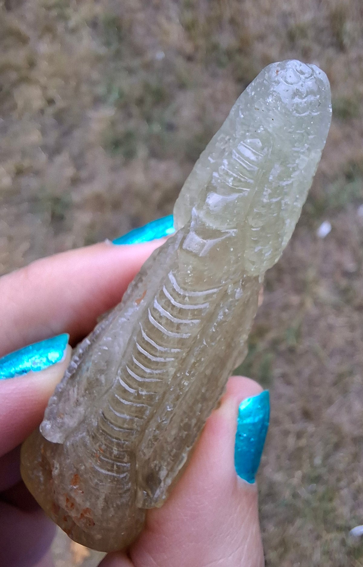 Libyan Desert Glass DRAGON HEAD carving, 48.11g, Tektite (Ref: Dragon4)