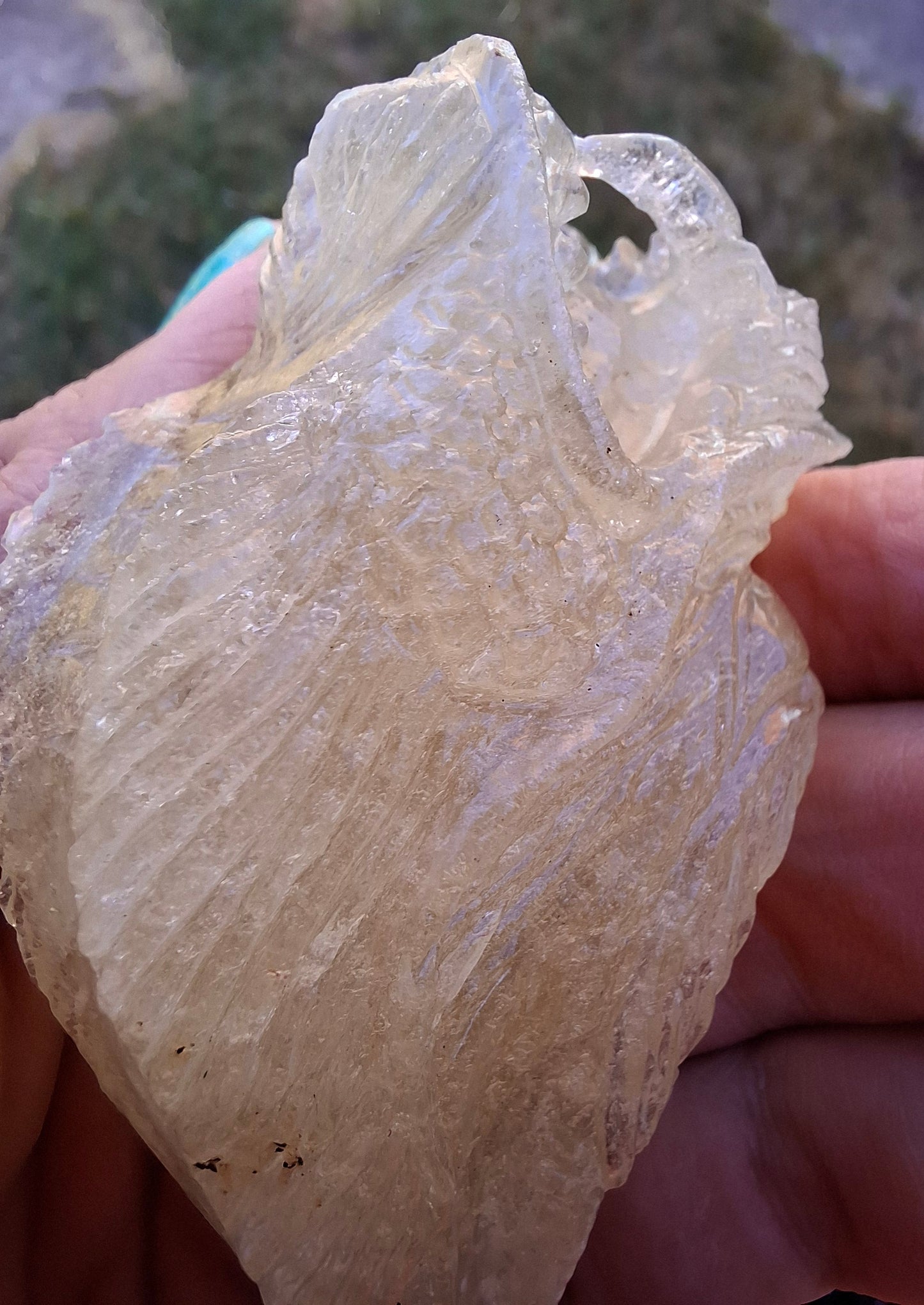 Libyan Desert Glass DRAGON HEAD Carving, 75.84g, Tektite (Ref: Dragon1)