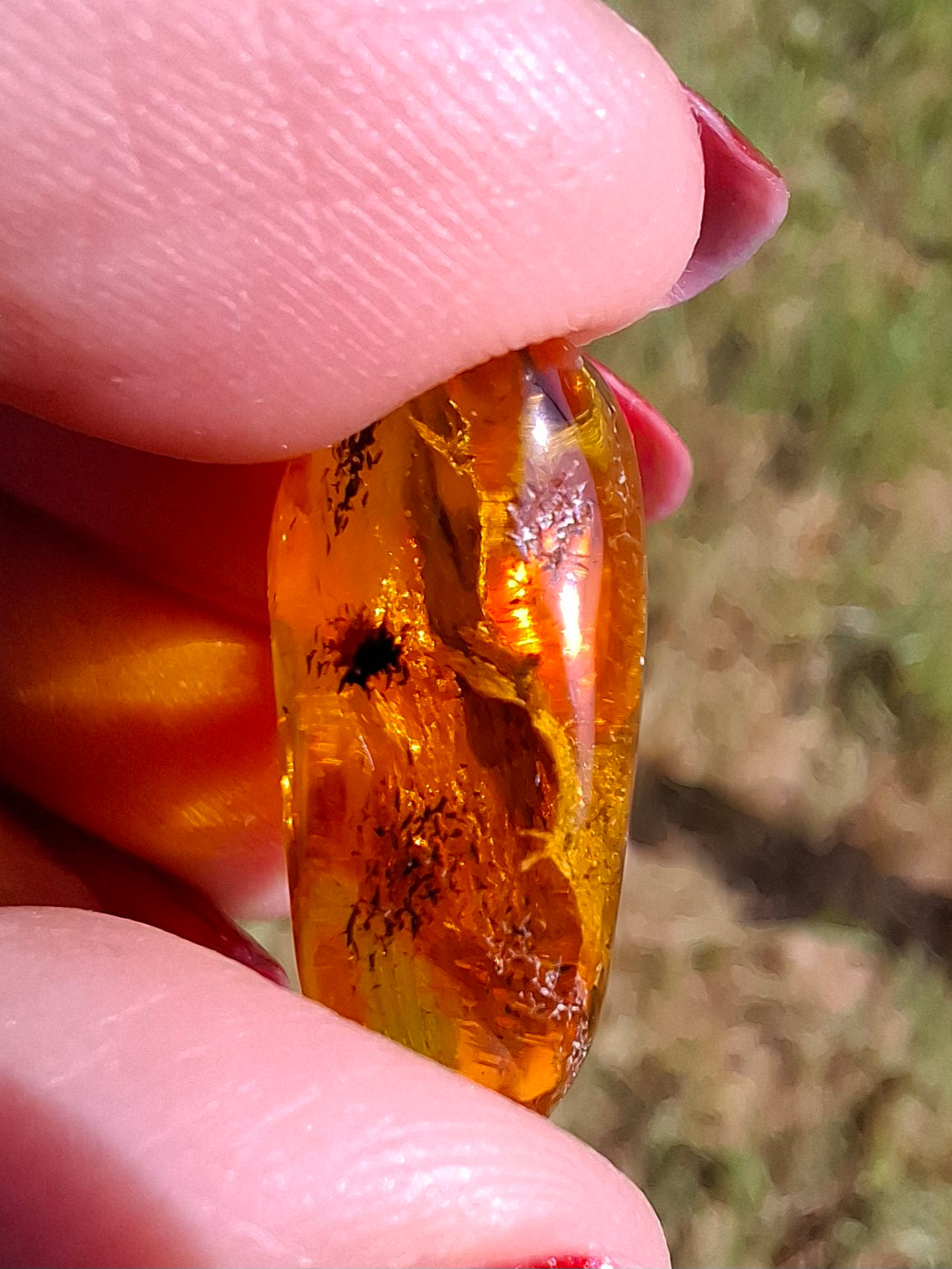 Baltic Amber, 1.61g, Fossil (Ref: A186)