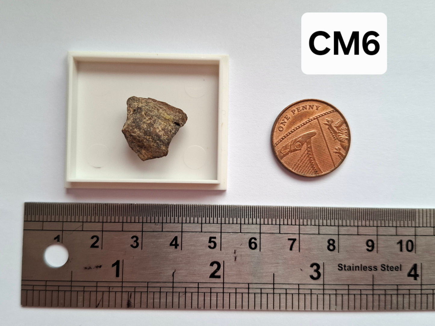 Chondrite, Meteorite (Ref: CM6)