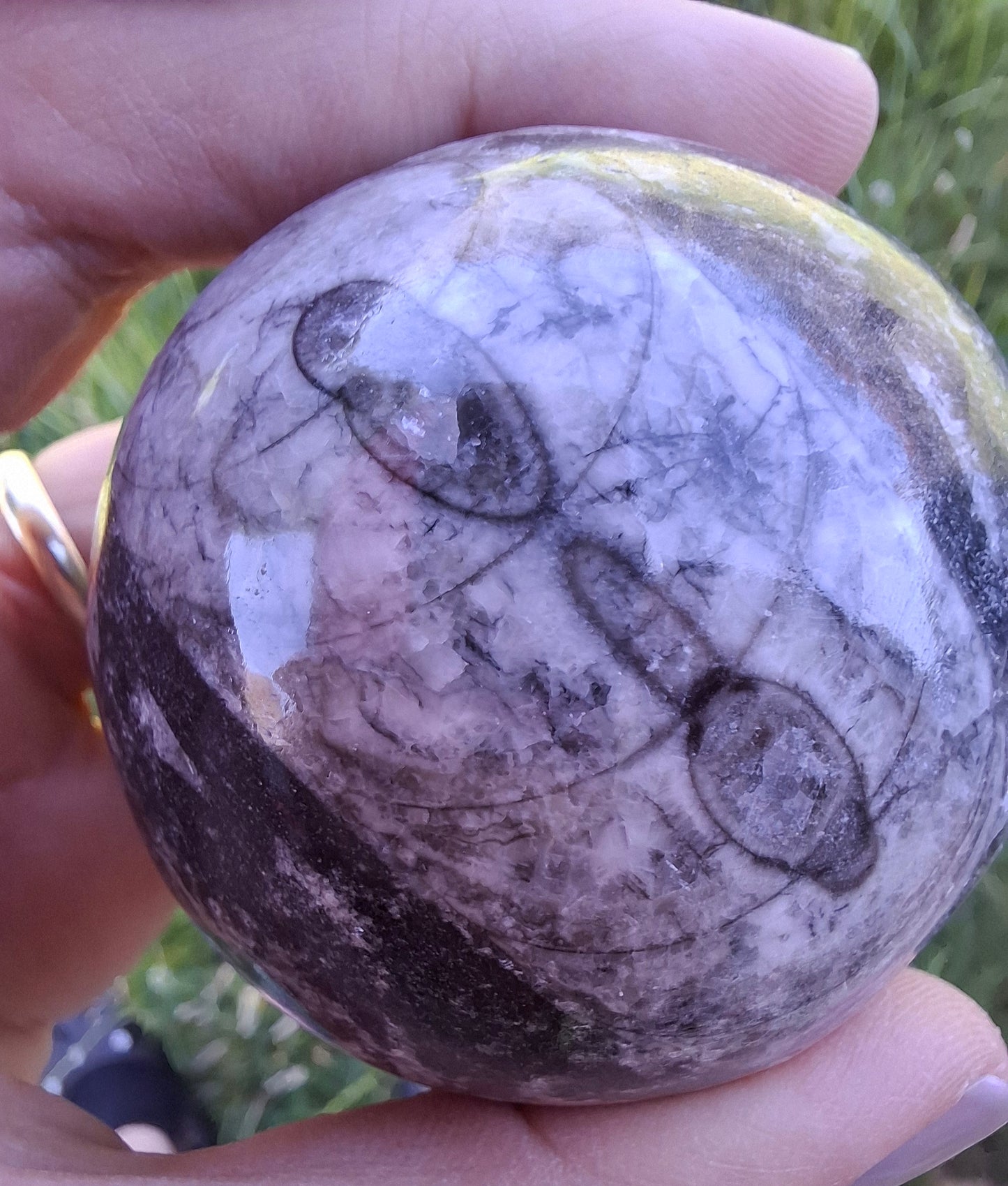 Orthoceras Sphere, Fossil (Ref: OS2)