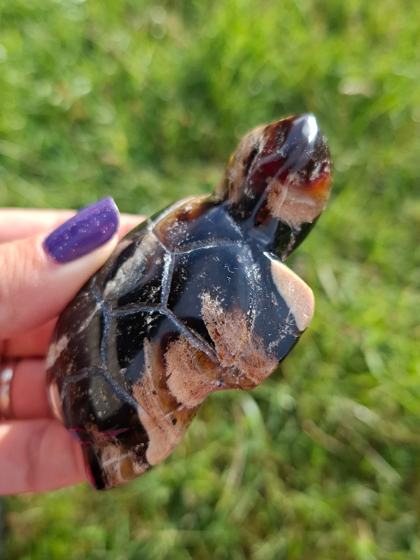 Red Amber Turtle, 50.00g, Carving, Fossil (Ref: TT6)