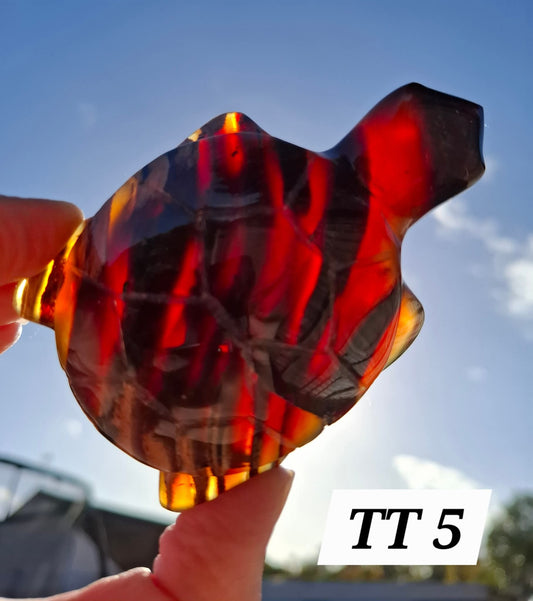 Red Amber Turtle, 59.07g, Carving, Fossil (Ref: TT5)