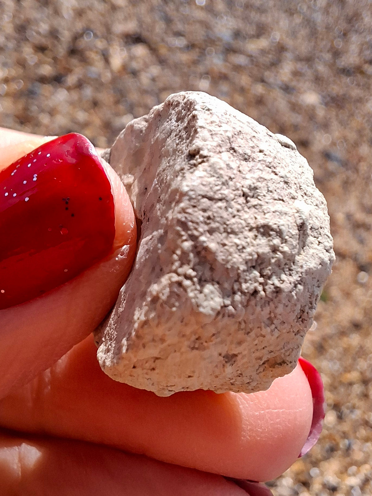 Sauropod Dinosaur Coprolite, 9.31g, Fossil (Ref: DP2)