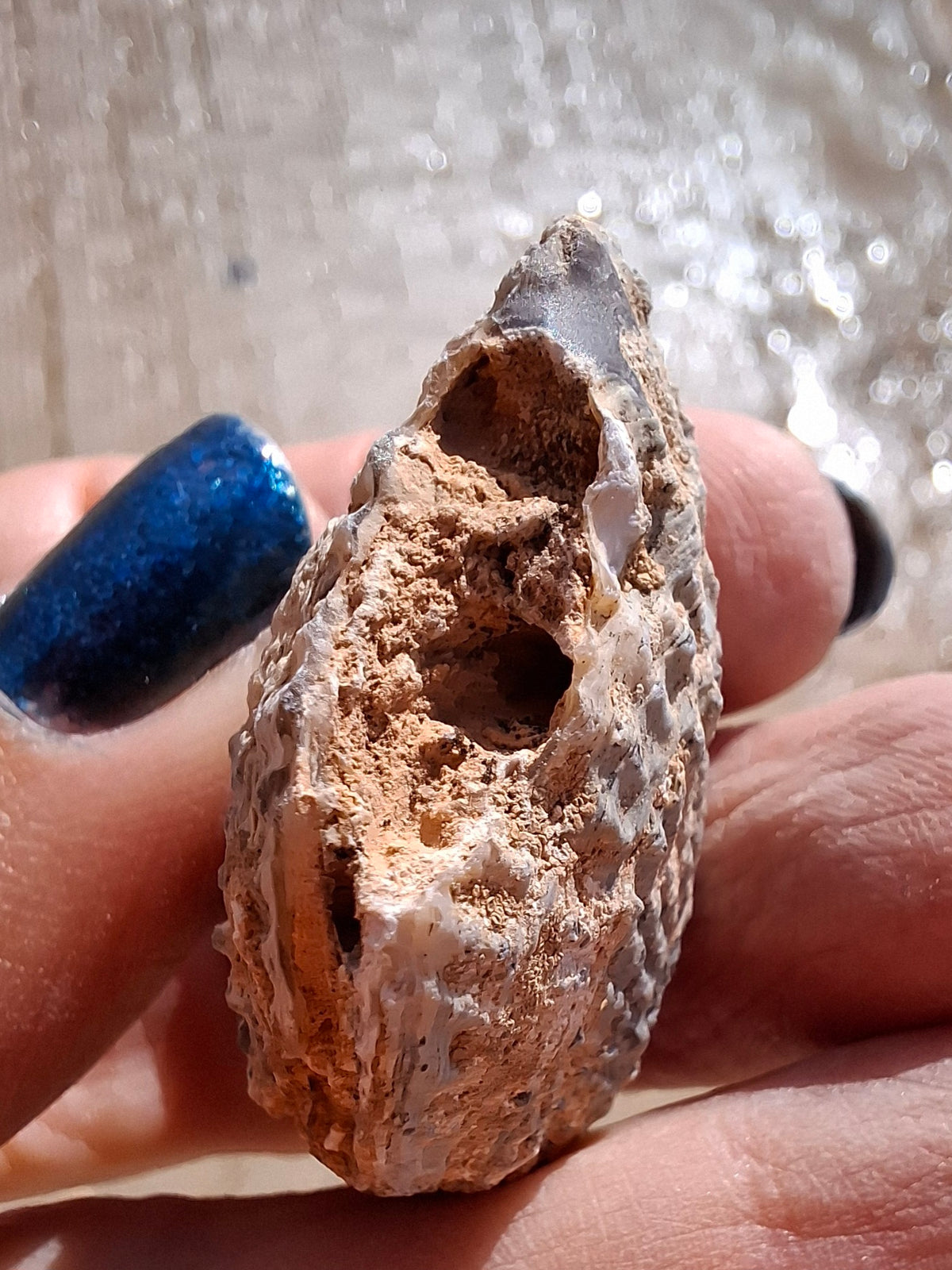 Chalcedony Oyster, Fossil (Ref: FO5)