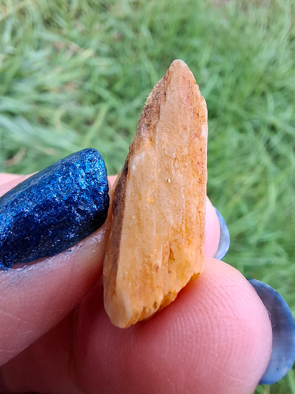 Diaspore (Zultanite), 6.86g, Crystal (Ref: DIS4)
