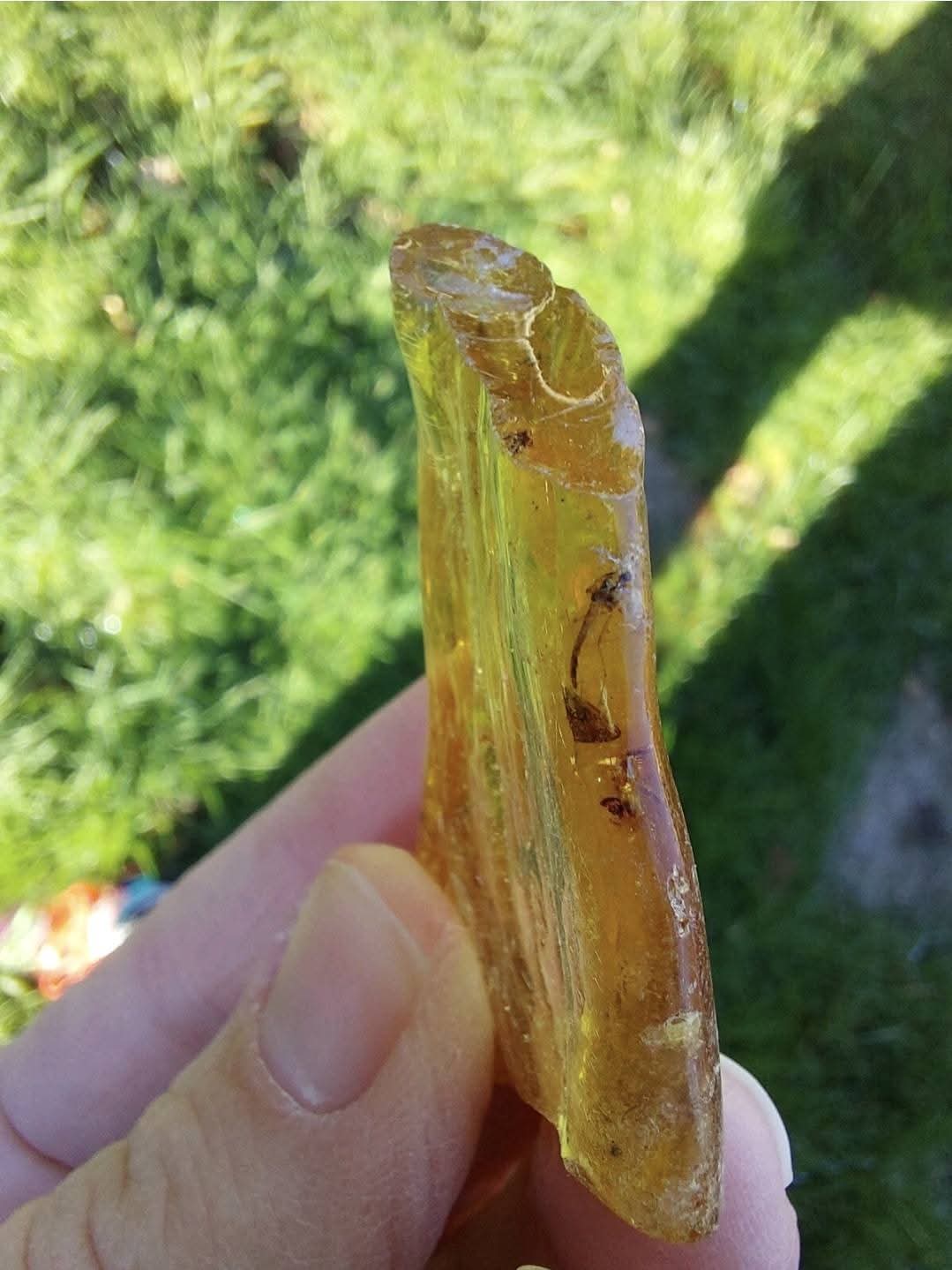 Copal Young Amber with INSECTS inside, 6.42g, Fossil (Ref: CA38)