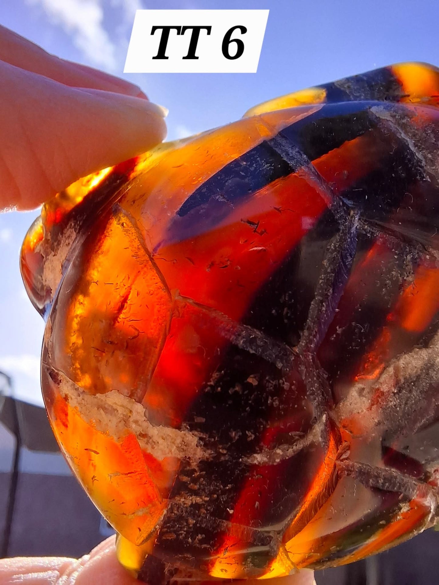 Red Amber Turtle, 50.00g, Carving, Fossil (Ref: TT6)