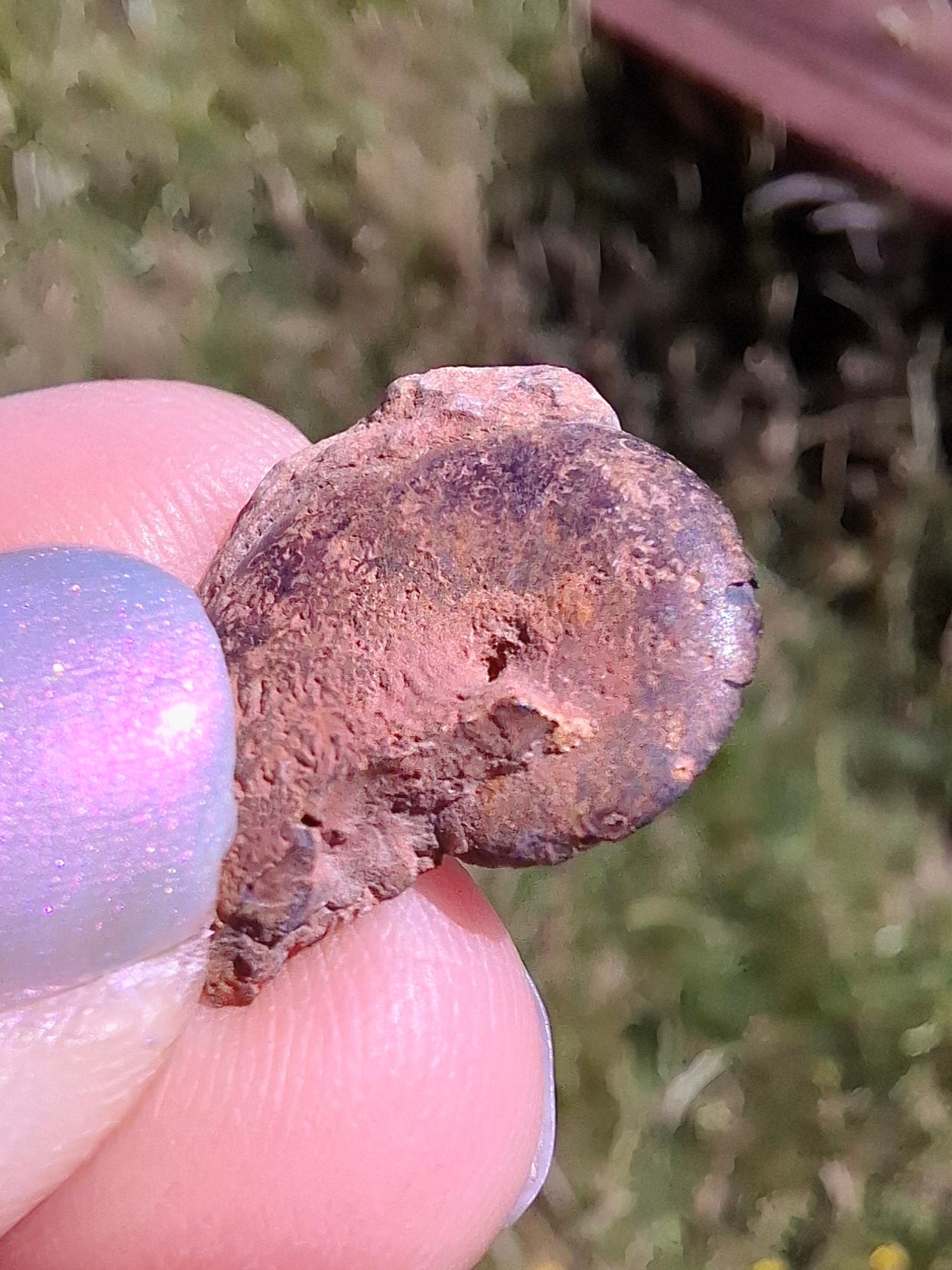 Small Haematite Ammonite HALF, 1.32g, Fossil (Ref: MA5)