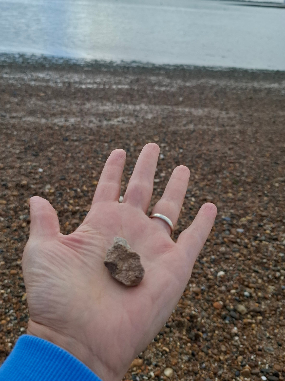 Sauropod Dinosaur Coprolite, 12.82g, Fossil (Ref: DP1)