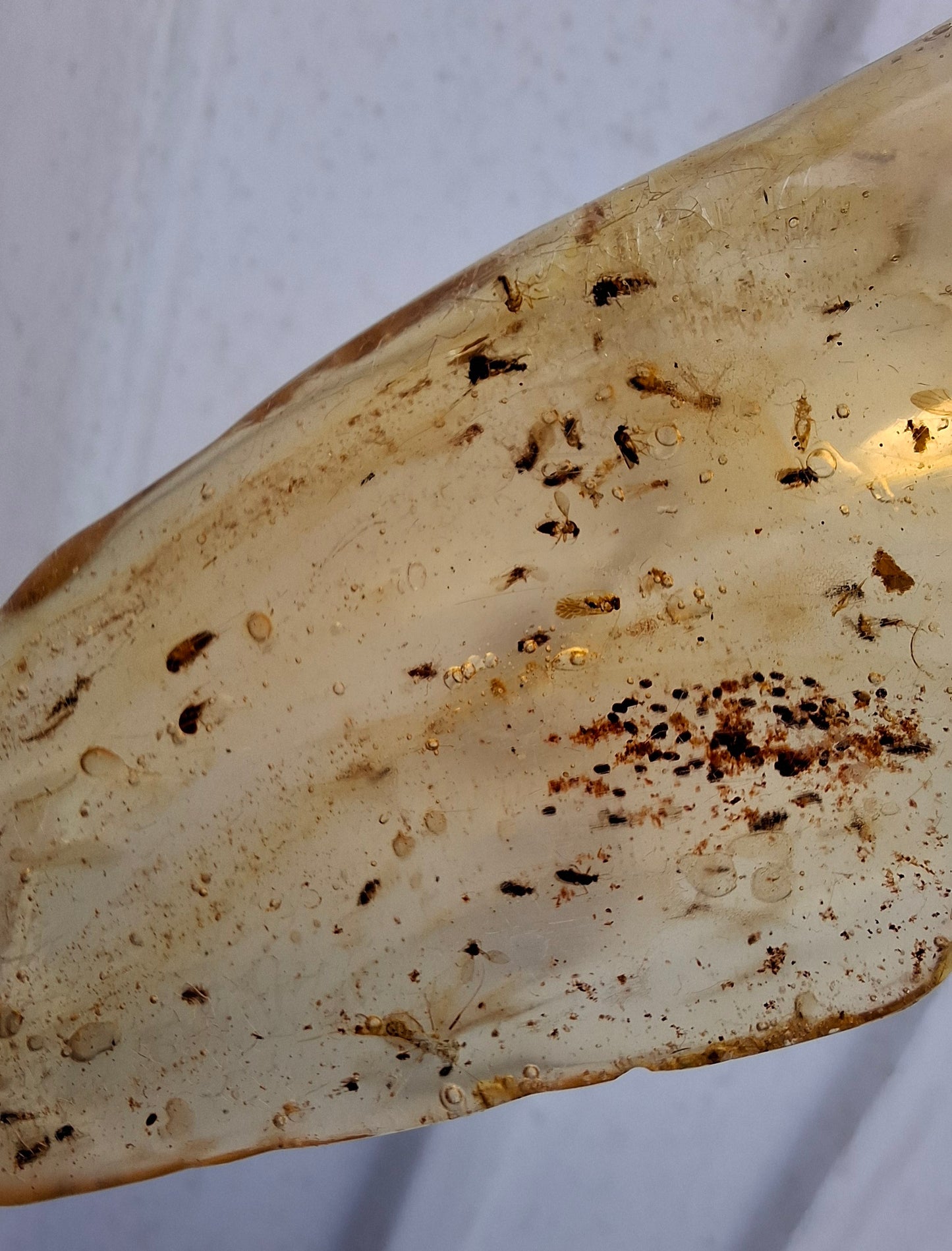 Copal Young Amber with INSECTS inside, 28.43g, Fossil (Ref: CA10)