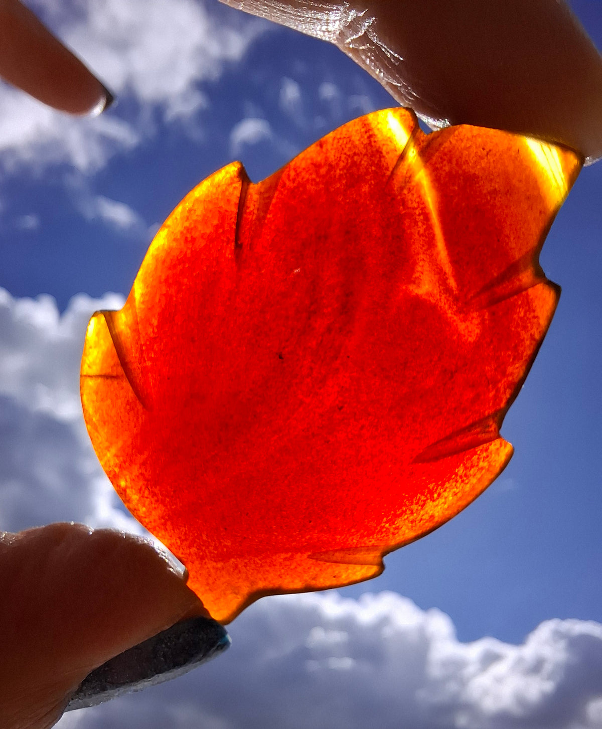 Red Amber Leaf Carving, 8.45g, Fossil (Ref: Leaf1)