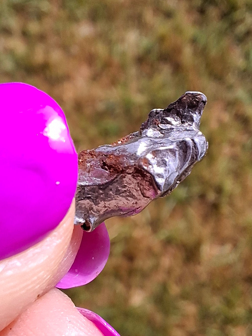 Campo del Cielo, 0.99g, Nickel Iron Meteorite (Ref: C8)