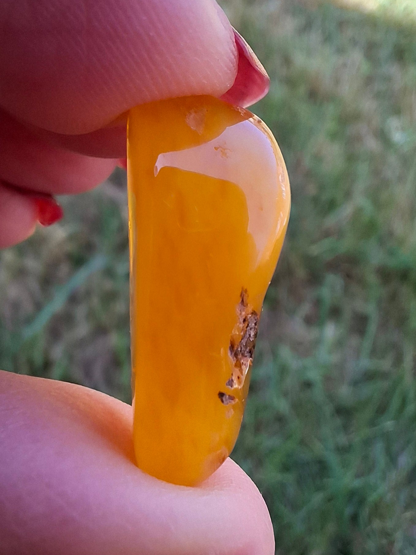 Baltic Amber, 1.74g, Fossil (Ref: A228)