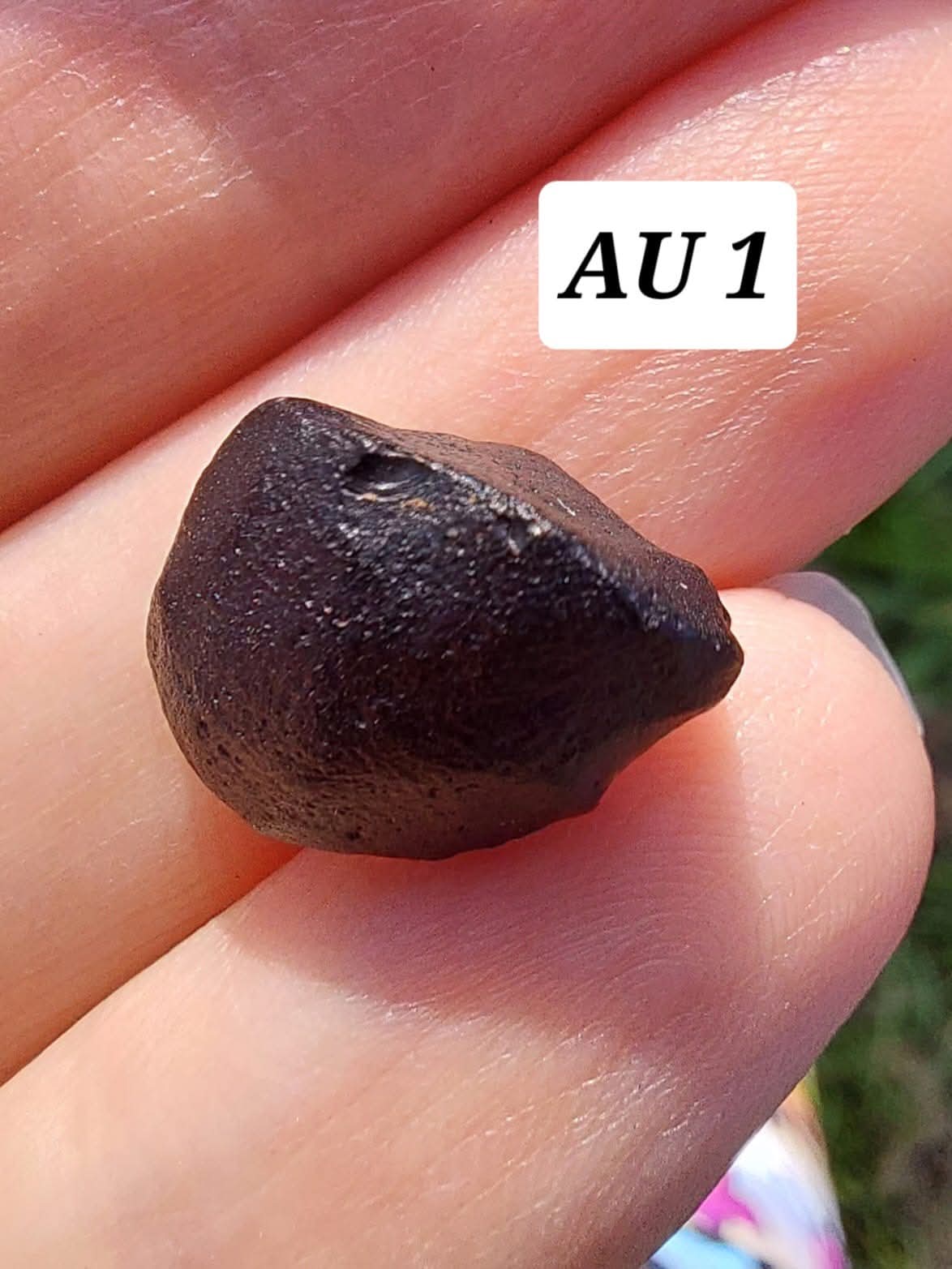 Australite, 1.54g, Tektite (Ref: AU1)