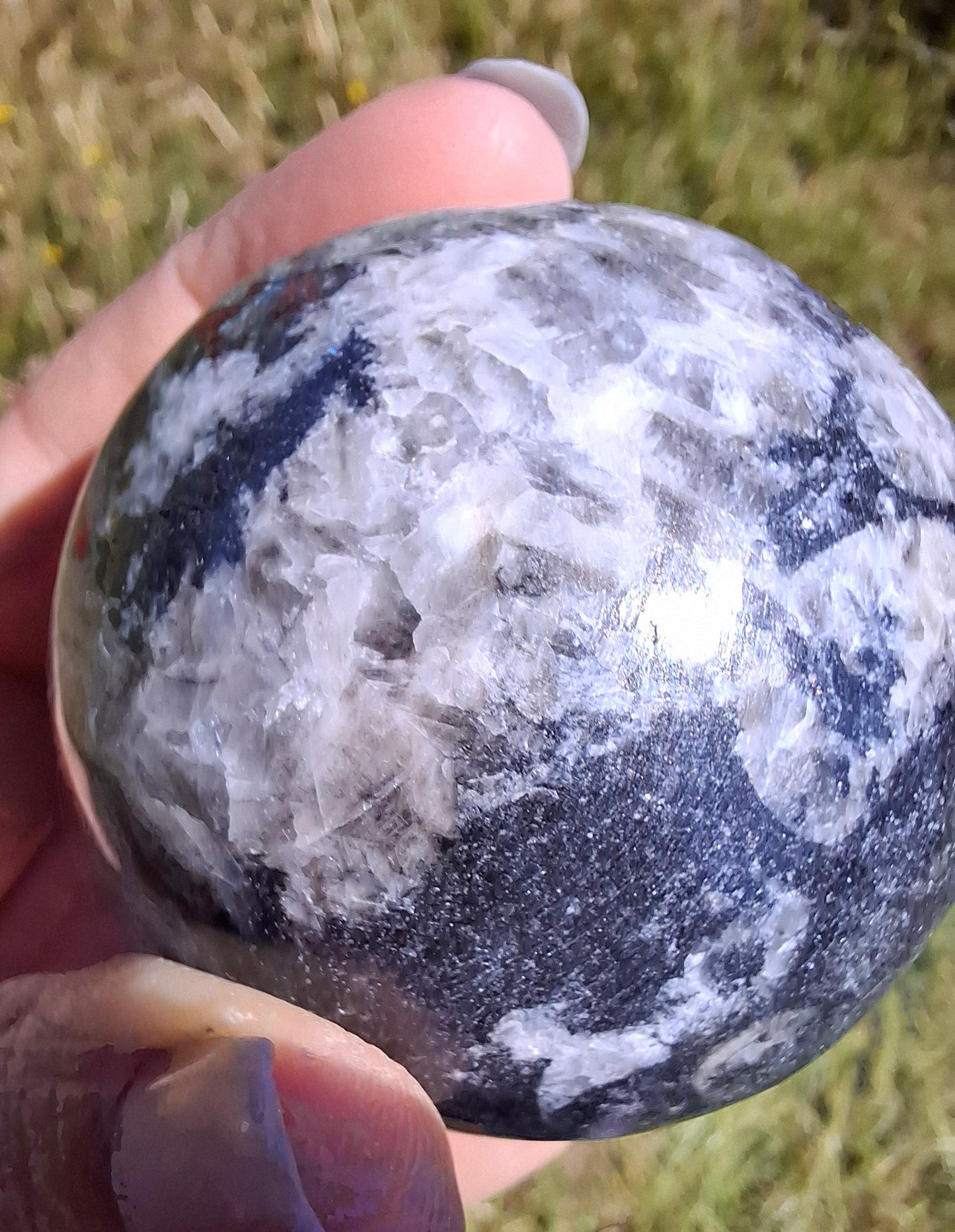 Orthoceras Sphere, Fossil (Ref: OS2)