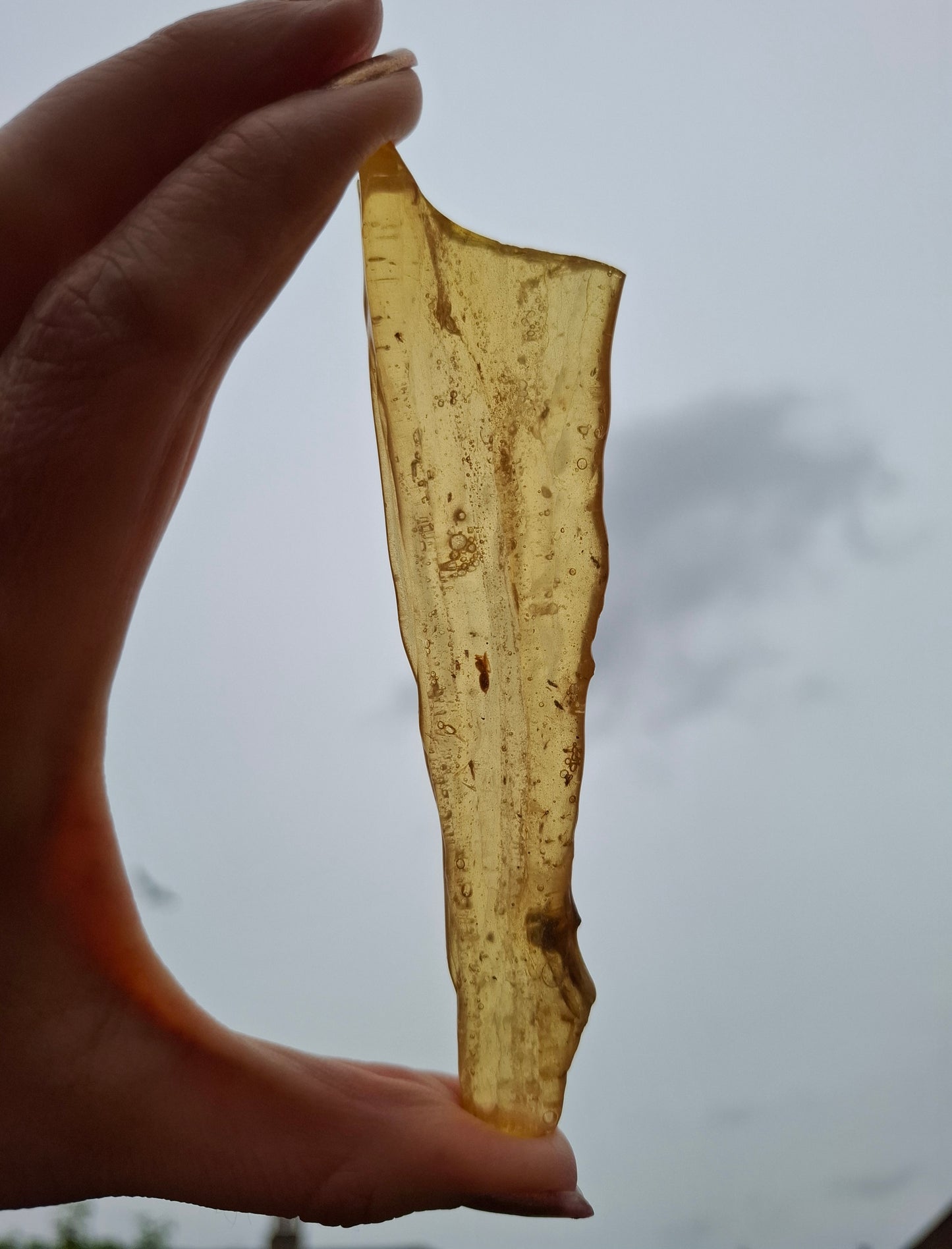 Copal Young Amber with INSECTS inside, 18.29g, Fossil (Ref: CA33)